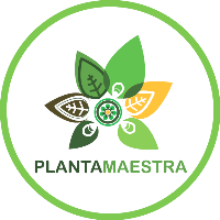 Planta Maestra Santiago Chile