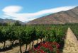Santa-Rita-Winery-Chile