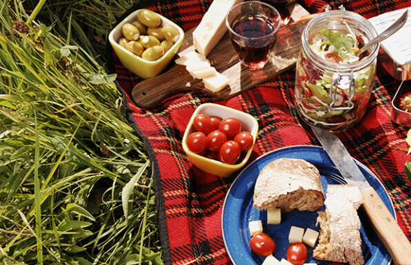 foods options for your picnic in Santiago