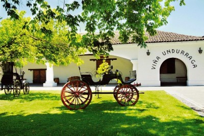 Undurraga vineyard in chile